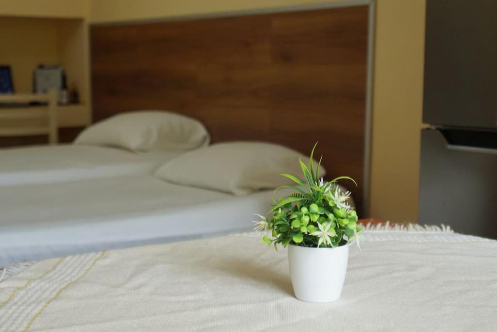 Alle'S M Shyri Studio Apartment Tiranë Luaran gambar