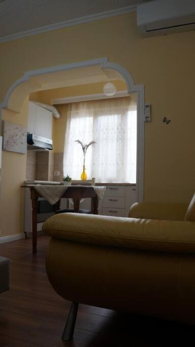 Alle'S M Shyri Studio Apartment Tiranë Luaran gambar